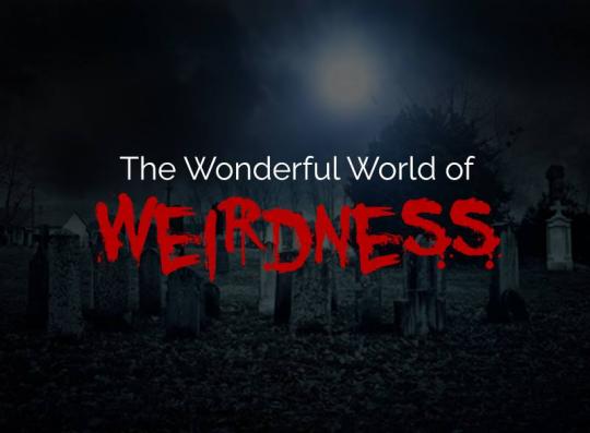 The Wonderful World of Weirdness